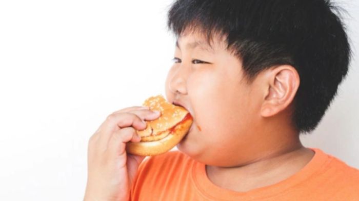 Cegah Obesitas Anak dengan Gaya Hidup Aktif