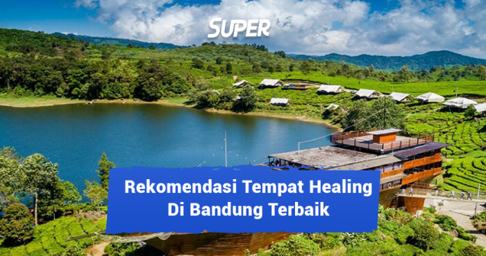 Rekomendasi Tempat Healing di Tengah Kota